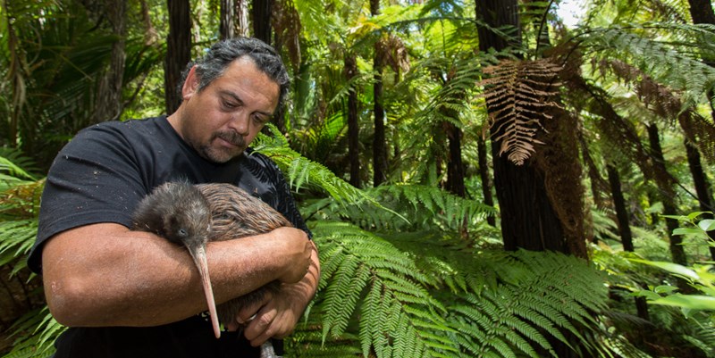 Ian Tarei With Kiwi Cropped