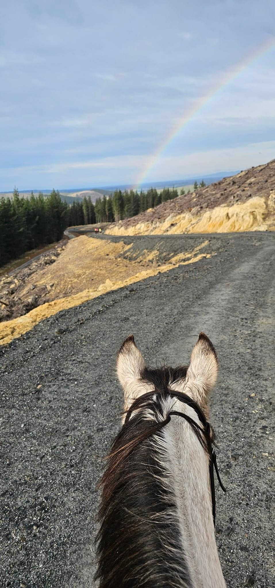 Mt Thomas Horse Trek 1920 X 690