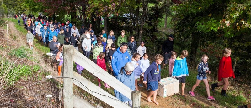 Kiwi Being Carried To Release Site On Tahere Farm Photo Wendybown Cropped3