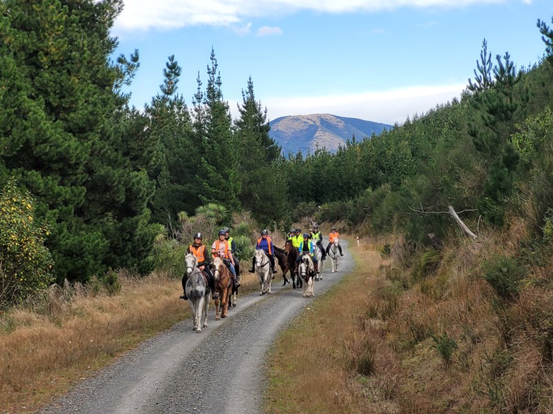 Horse Trek Group High Res 1300 Wide Pixels